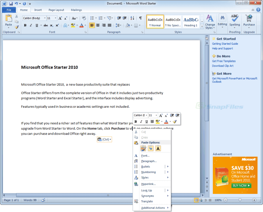 Microsoft Excel Starter 2010